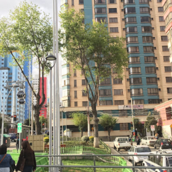 Meet your Posher, Joy - Picture 1 of 1